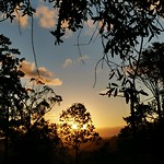 IMG_20200311_204630_536