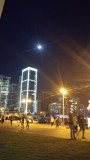 beirut zaytuna