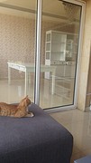 20160816_113700