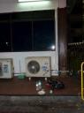 P1000357-550