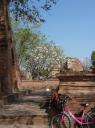 Wat Nok 7
