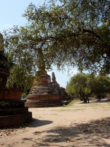 Wat Phra Sri Sanphet 26