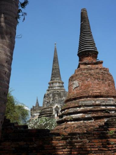 Wat Phra Sri Sanphet 29