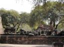 Wat Ratcha Burana 6