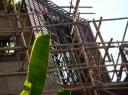 Bamboo steiger 2