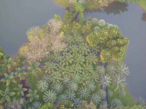 Botanic garden
