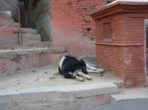 Durbar Square 41