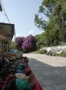 Pashupatinath 2