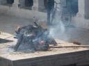 Pashupatinath 11