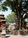 Pashupatinath 17