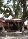 Bhaktapur 5