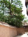 Bhaktapur 45