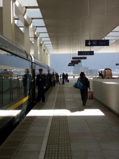 P1030384-550