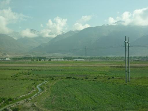 P1030399-550