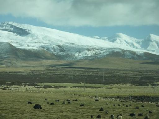 P1030409-550