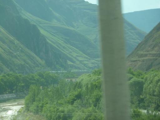 P1030454-550