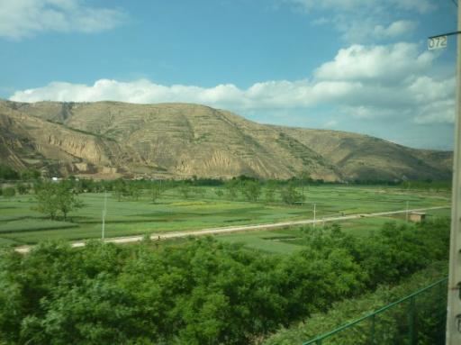 P1030455-550