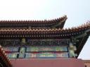 P1030755-550
