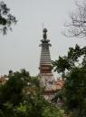 P1030831-550