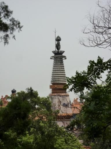 P1030831-550