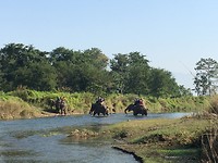 Chitwan VII