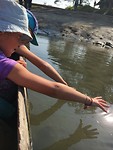 Chitwan V