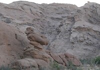 DSC03967