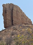 IMG_6579