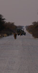 IMG_6675