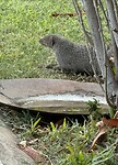 IMG_0664