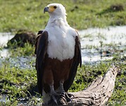 IMG_0675