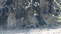 IMG_0673