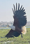 IMG_6832