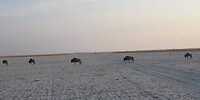 IMG_0686