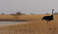 IMG_0685