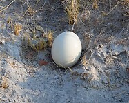 IMG_0684