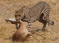 IMG_0695