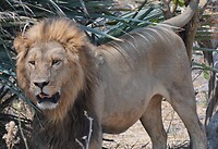IMG_0692