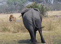 IMG_0691