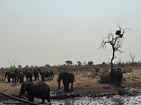IMG_6919