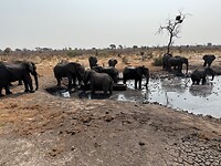 IMG_6918