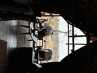 IMG_6917
