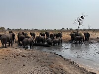 IMG_6928