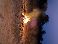 IMG_6941