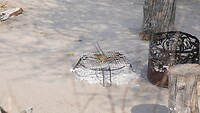 _DSC5183