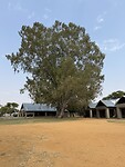IMG_6960