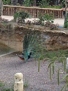 IMG_20160619_170138