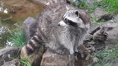 20160630_133534