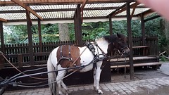 20160630_134034