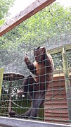 20160630_134511